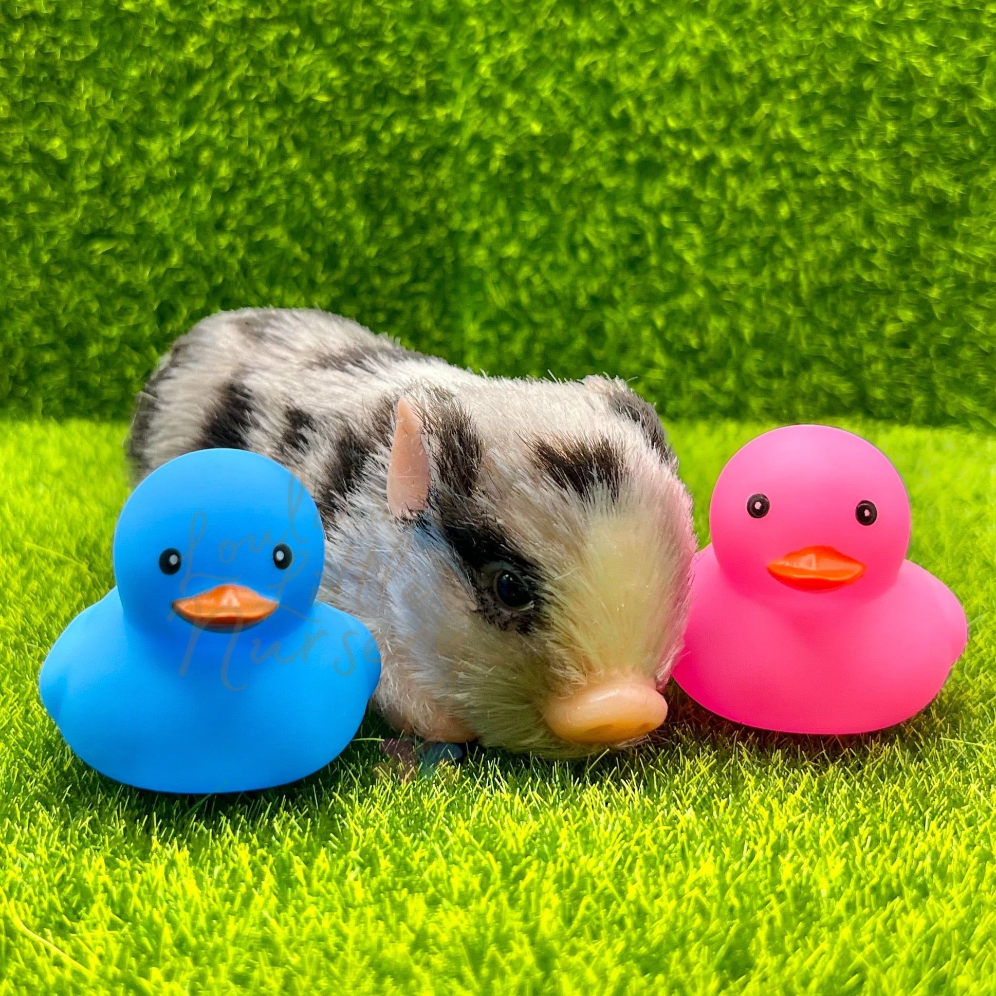 Rubber Duck Toy - Loula’s Little Nursery