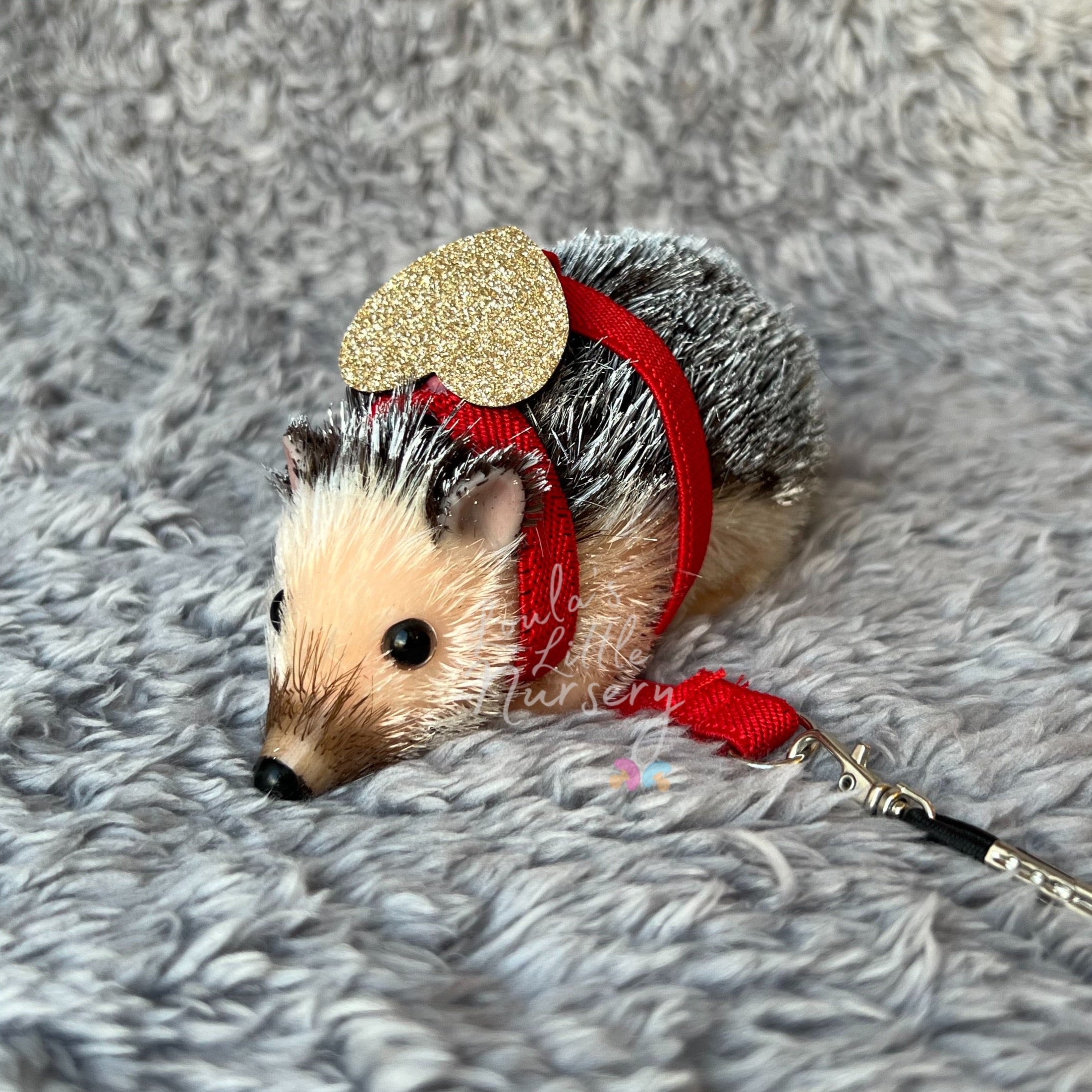 Hedgehog leash outlet